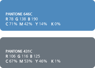 Blue Color/blue,Dark gary PANTONE 646C: R78,G138,B190, C71%,M42%,Y14%,K0% PANTONE 431C: R106, G116, B125, C67%, M53%, Y46%. K1%