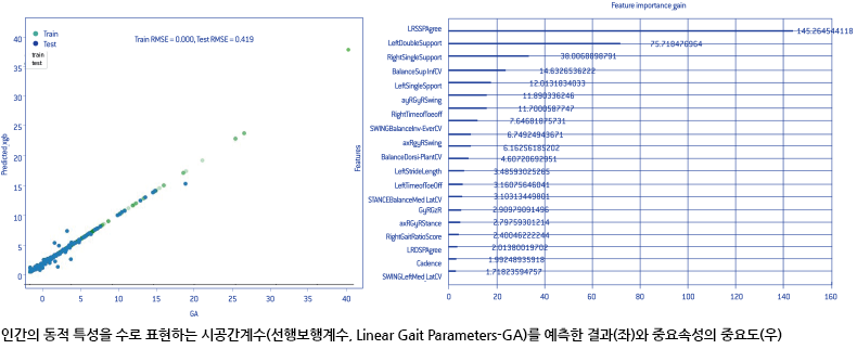 인간의 동적특성을 수로 표현하는 시공간계수(선행보행계수, Linear Gait Parameters-GA)를 예측한 결과(왼쪽)와 중요속성의 중요도 결과(오른쪽)