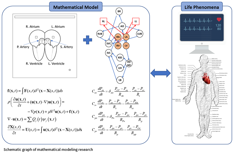 Schematic graph of mathematical modeling research