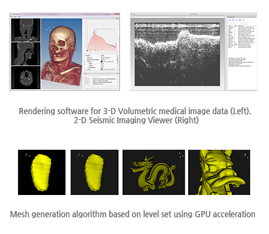 Rendering software fot 3-D Volumetric medical image data, 2-D seismic imaging viewer, Mesh generation algorithm based on level set using GPU
