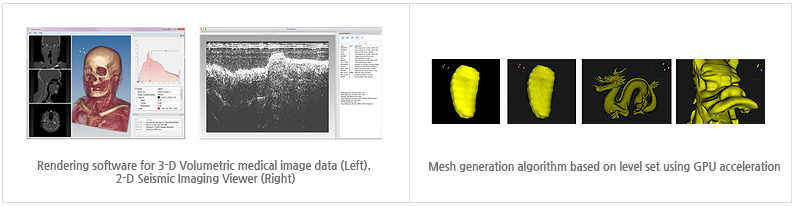 Rendering software fot 3-D Volumetric medical image data, 2-D seismic imaging viewer, Mesh generation algorithm based on level set using GPU